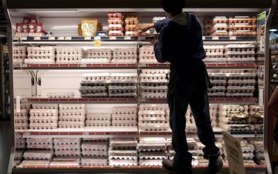 Grocery Stocker Job Description