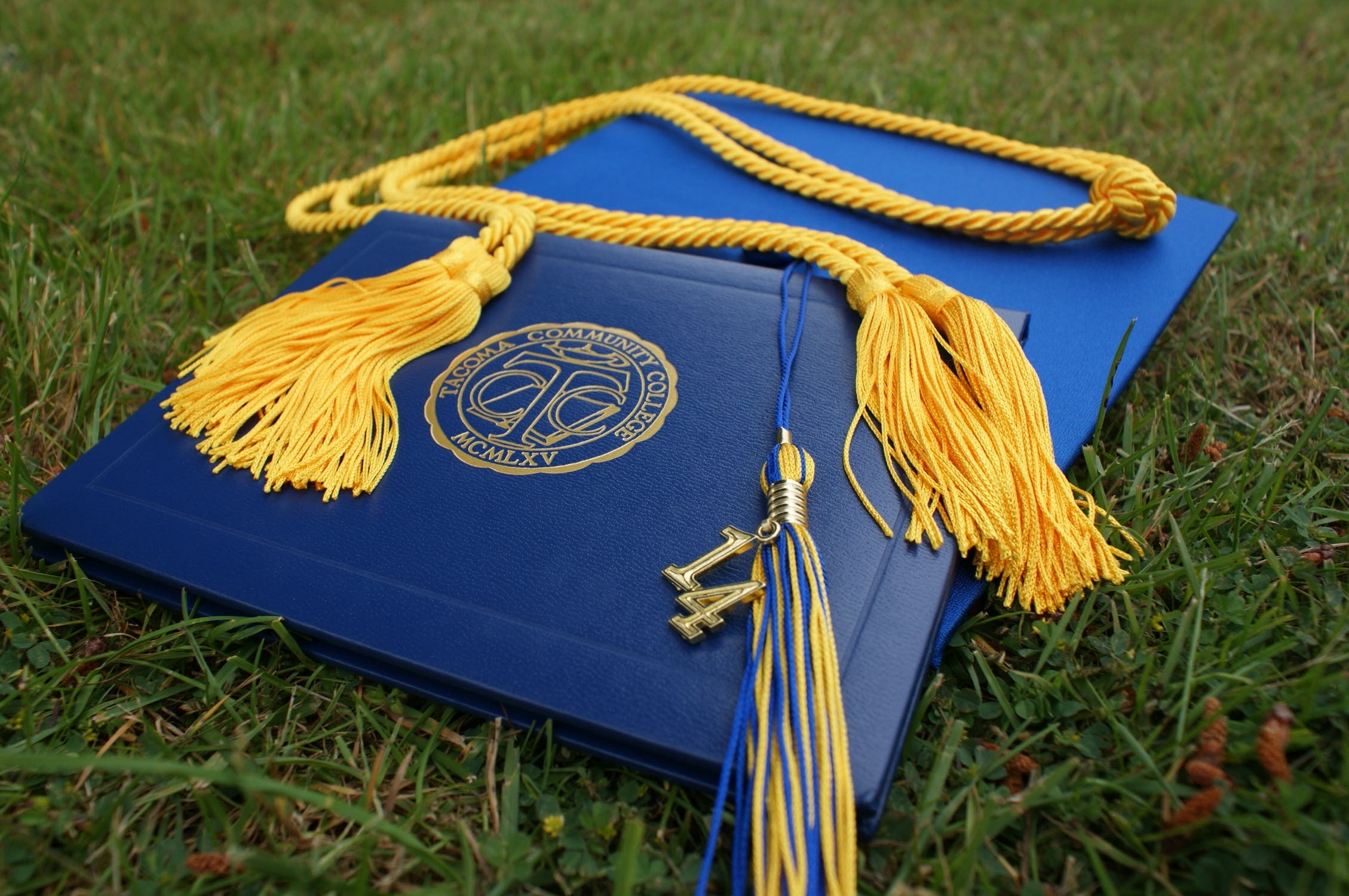 blue diploma and graduation toga
